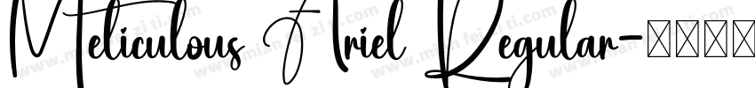 Meticulous Ariel Regular字体转换